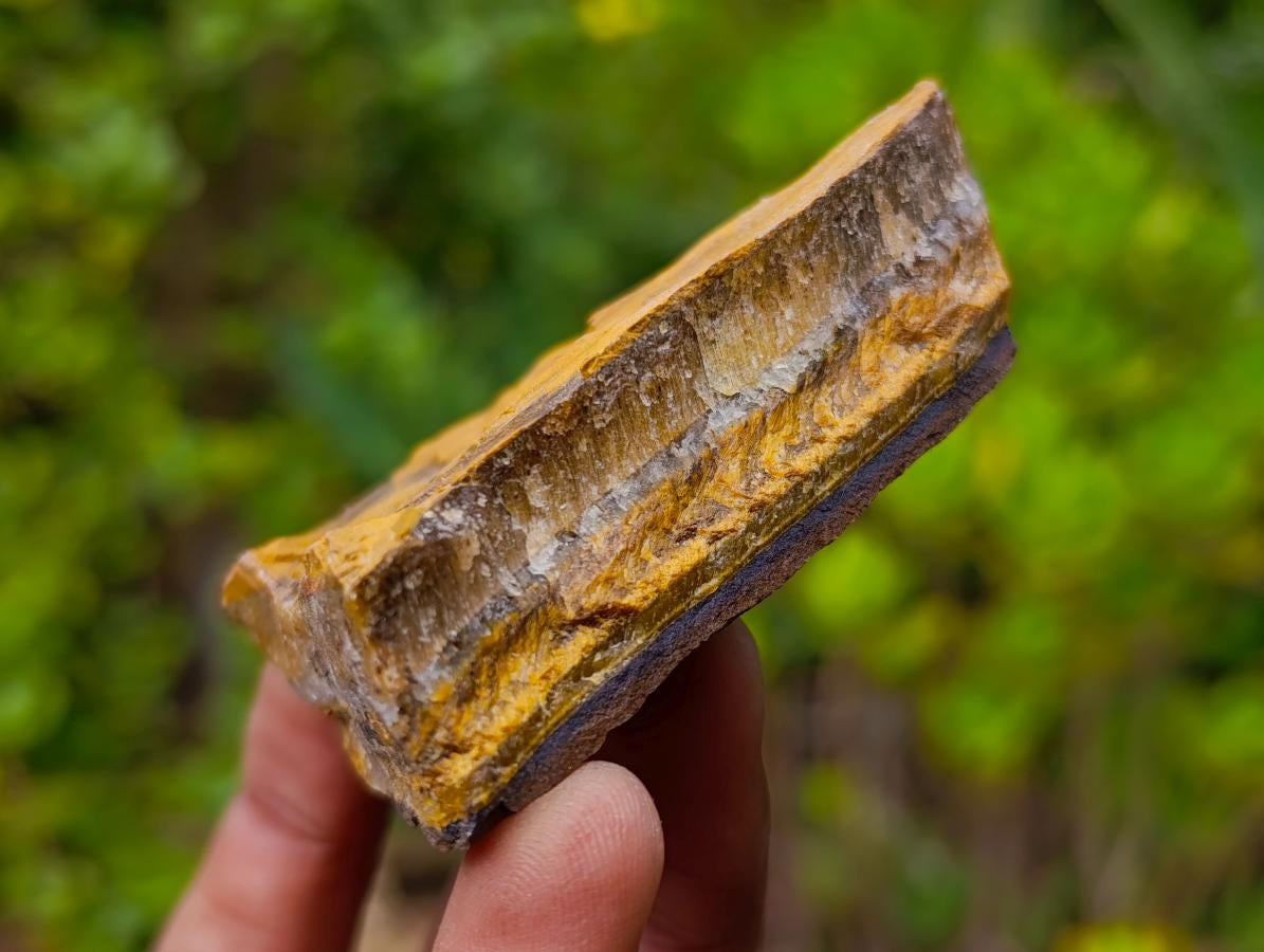 Natural Golden Tigers Eye Cobbed Specimens x 12 From Prieska, South Africa