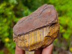 Natural Golden Tigers Eye Cobbed Specimens x 12 From Prieska, South Africa