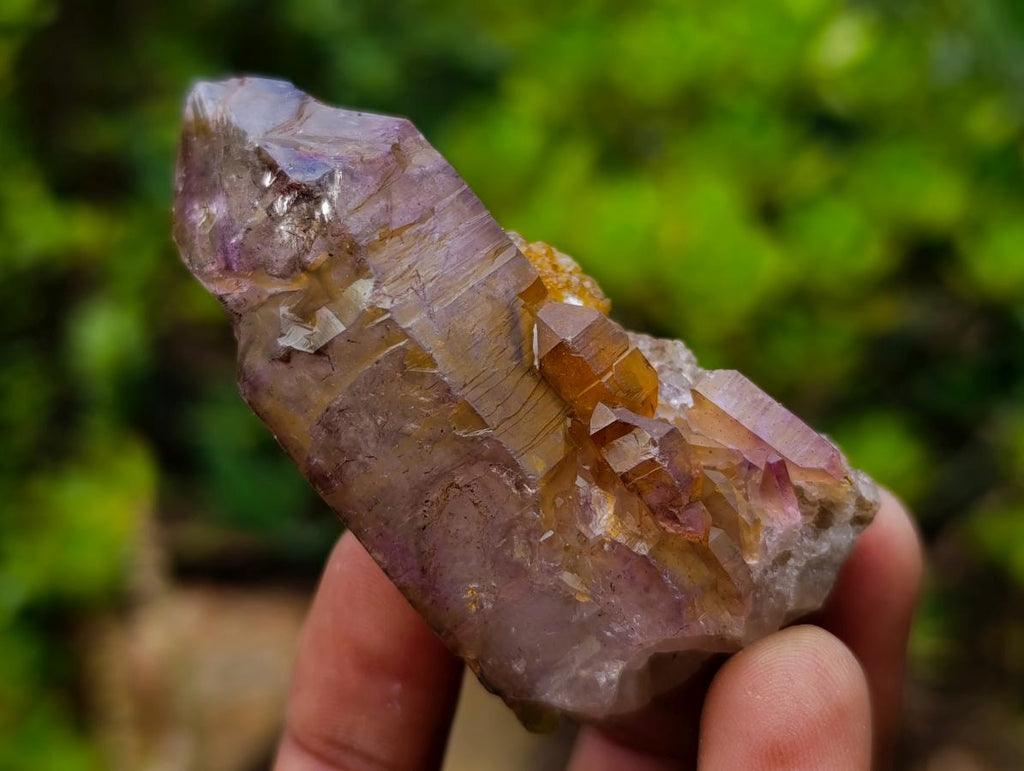 Natural Smokey Amethyst Window Crystals x 12 From Chiredzi, Zimbabwe