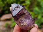 Natural Smokey Amethyst Window Crystals x 12 From Chiredzi, Zimbabwe