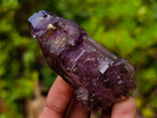 Natural Smokey Amethyst Window Crystals x 12 From Chiredzi, Zimbabwe