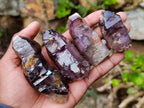 Natural Smokey Amethyst Window Crystals x 12 From Chiredzi, Zimbabwe
