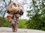 Natural Stacked Rhombohedral Calcite Clusters with Phosphorus Aragonite x 2 From Albert's Mountain, Lesotho
