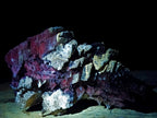 Natural Stacked Rhombohedral Calcite Clusters with Phosphorus Aragonite x 2 From Albert's Mountain, Lesotho