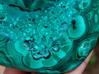 Polished Flower Banded Malachite Free Forms x 3 From Congo