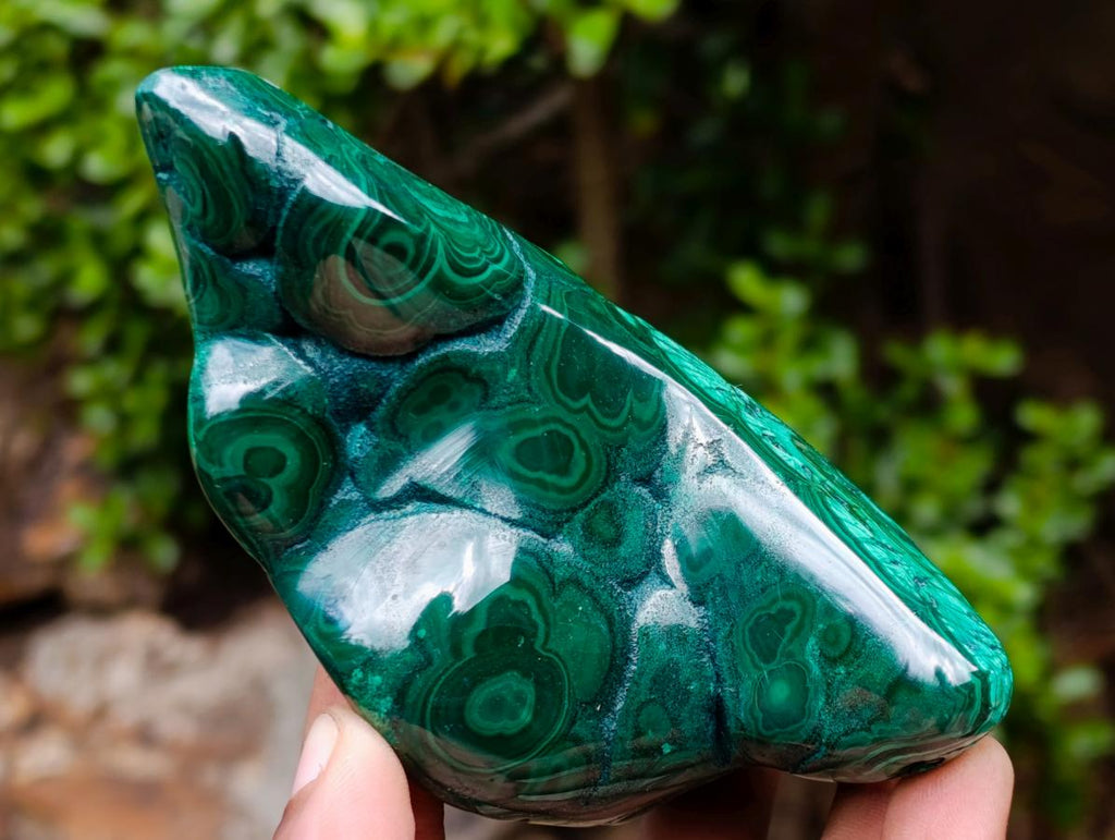 Polished Flower Banded Malachite Free Forms x 3 From Congo