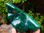 Polished Flower Banded Malachite Free Forms x 3 From Congo