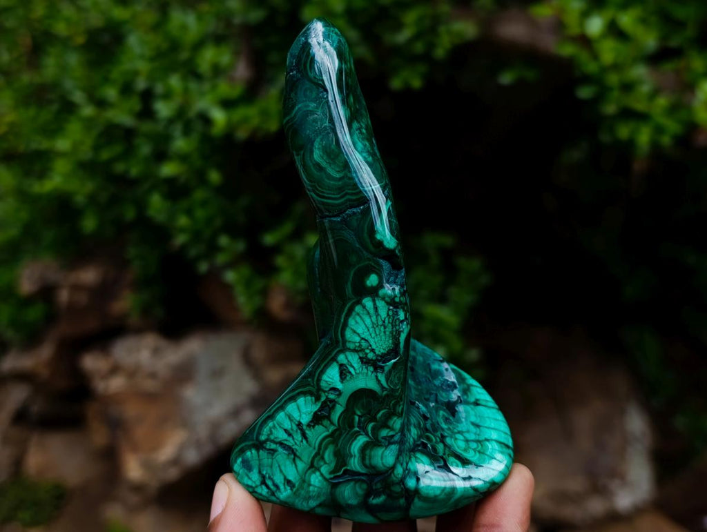 Polished Flower Banded Malachite Free Forms x 3 From Congo