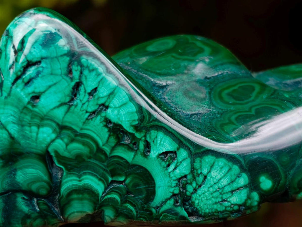 Polished Flower Banded Malachite Free Forms x 3 From Congo