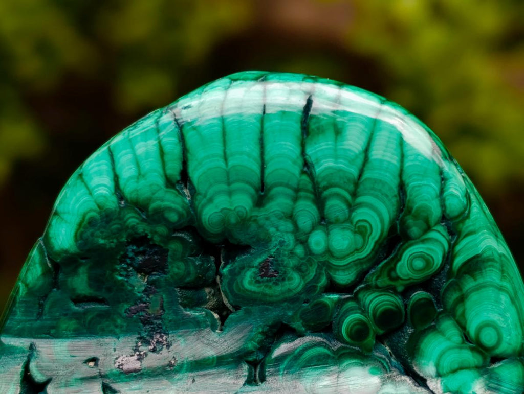 Polished Flower Banded Malachite Free Forms x 3 From Congo