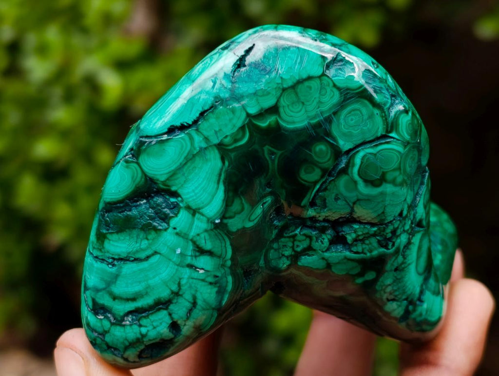 Polished Flower Banded Malachite Free Forms x 3 From Congo