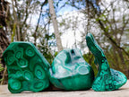 Polished Flower Banded Malachite Free Forms x 3 From Congo