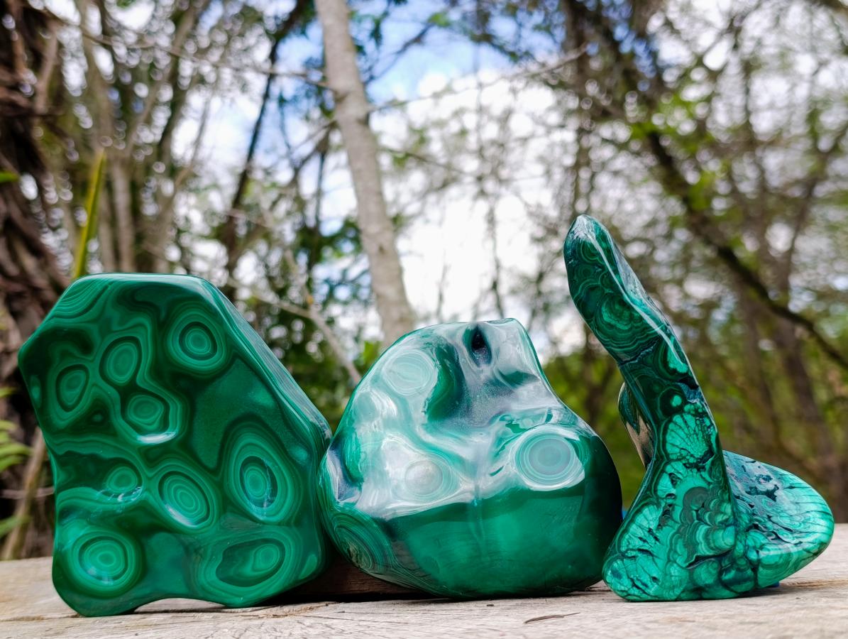 Polished Flower Banded Malachite Free Forms x 3 From Congo