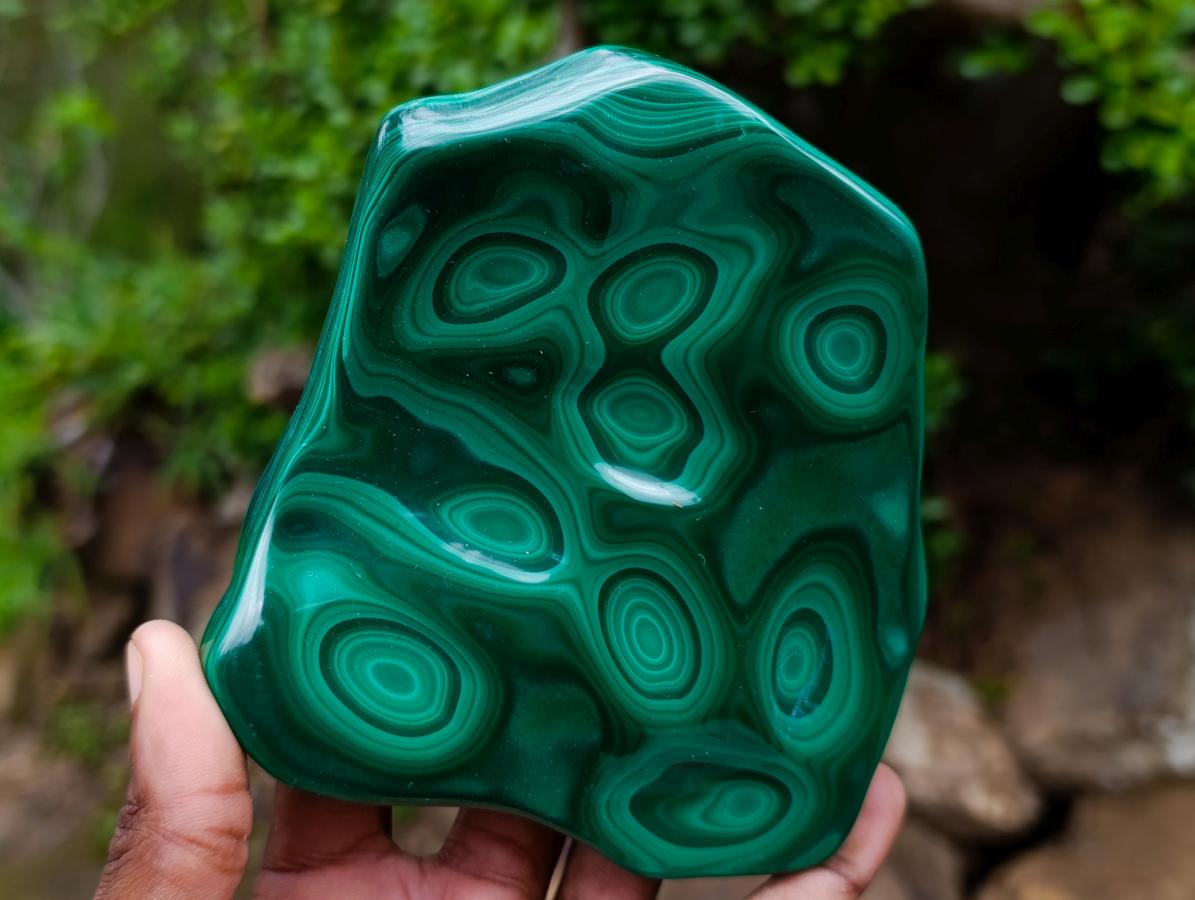 Polished Flower Banded Malachite Free Forms x 3 From Congo