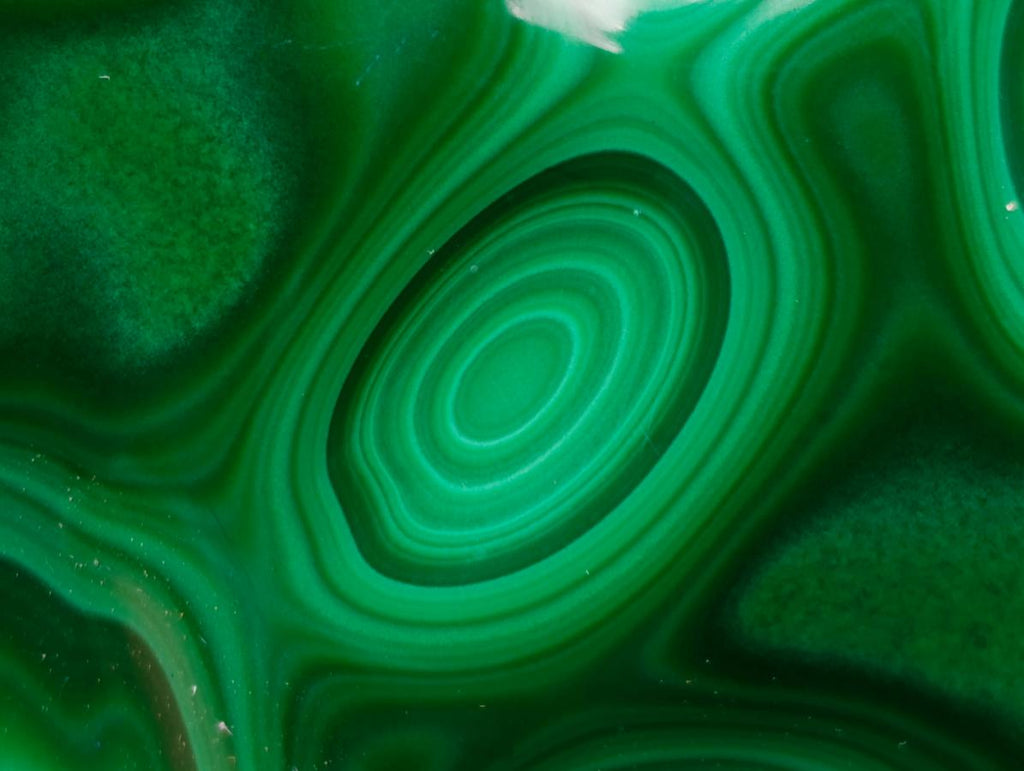 Polished Flower Banded Malachite Free Forms x 3 From Congo