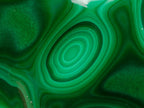 Polished Flower Banded Malachite Free Forms x 3 From Congo