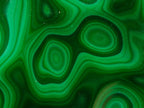 Polished Flower Banded Malachite Free Forms x 3 From Congo