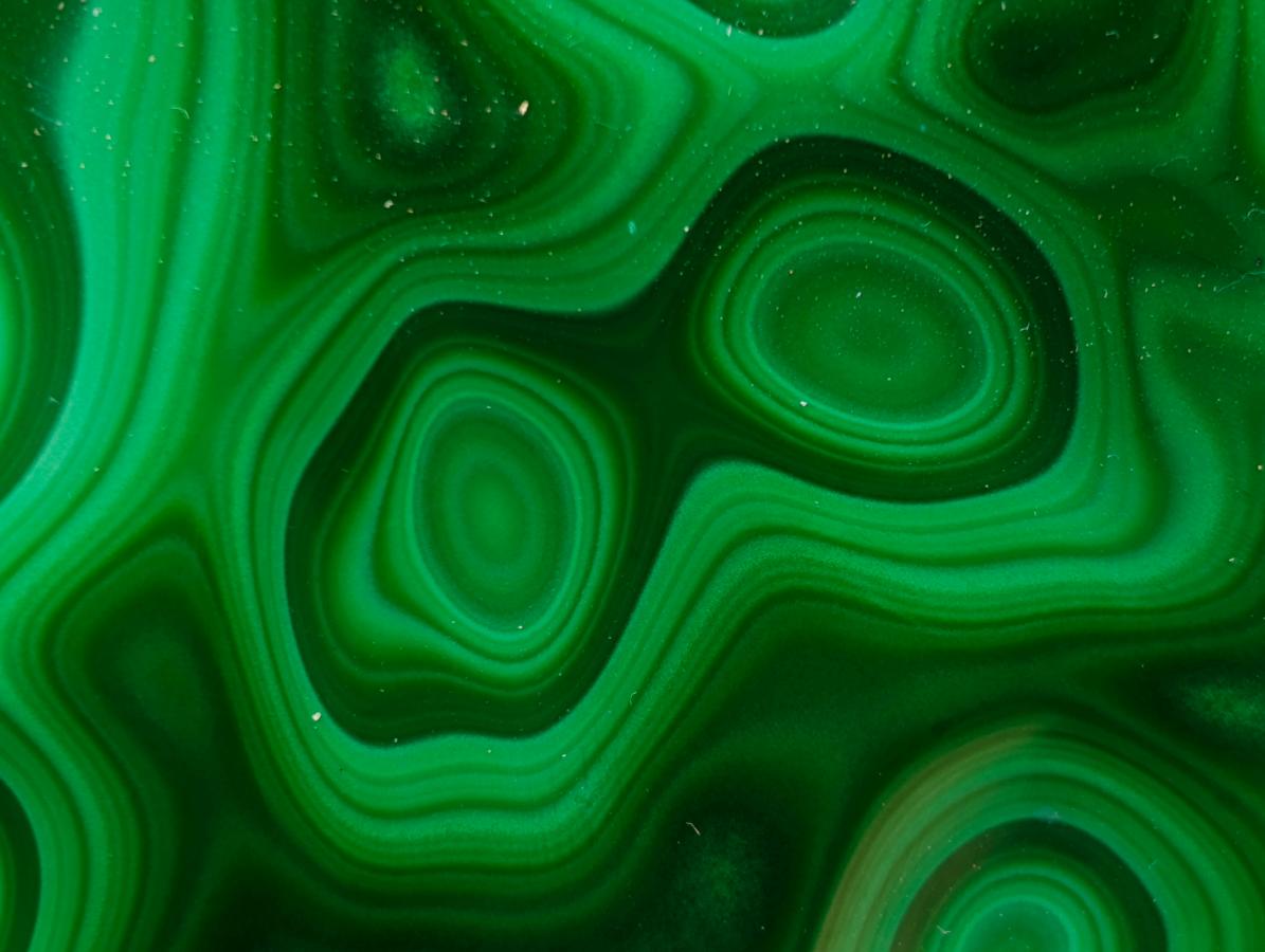 Polished Flower Banded Malachite Free Forms x 3 From Congo