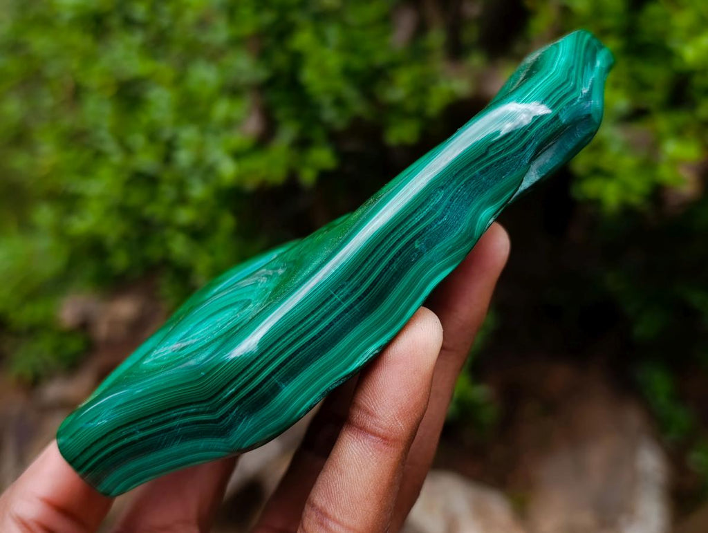 Polished Flower Banded Malachite Free Forms x 3 From Congo