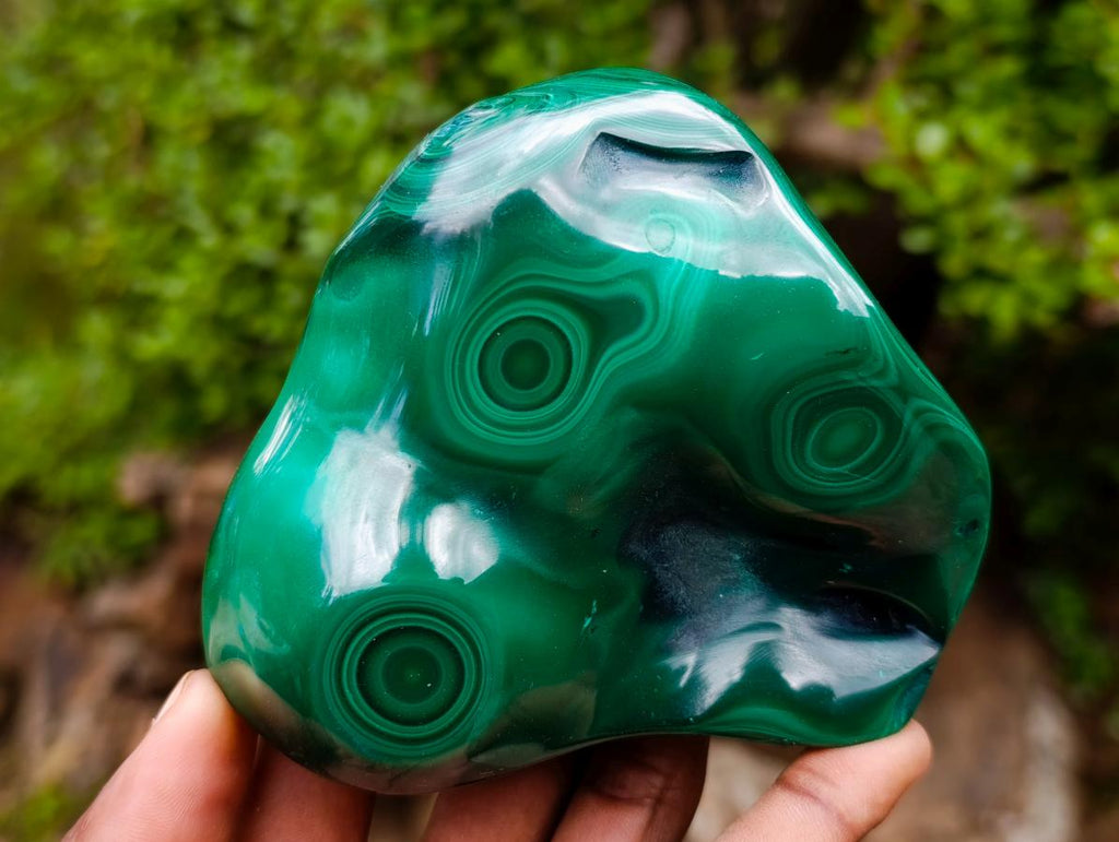 Polished Flower Banded Malachite Free Forms x 3 From Congo