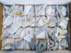 Natural Etched Blue Chalcedony Specimens x 24 From Nsanje, Malawi