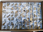 Natural Rhomboherdral and Spearhead Calcite Crystal Specimens x 70 From Albert's Mountain, Lesotho