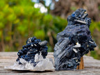 Natural Schorl Black Tourmaline Specimens with Associated Minerals x 24 From Erongo, Namibia