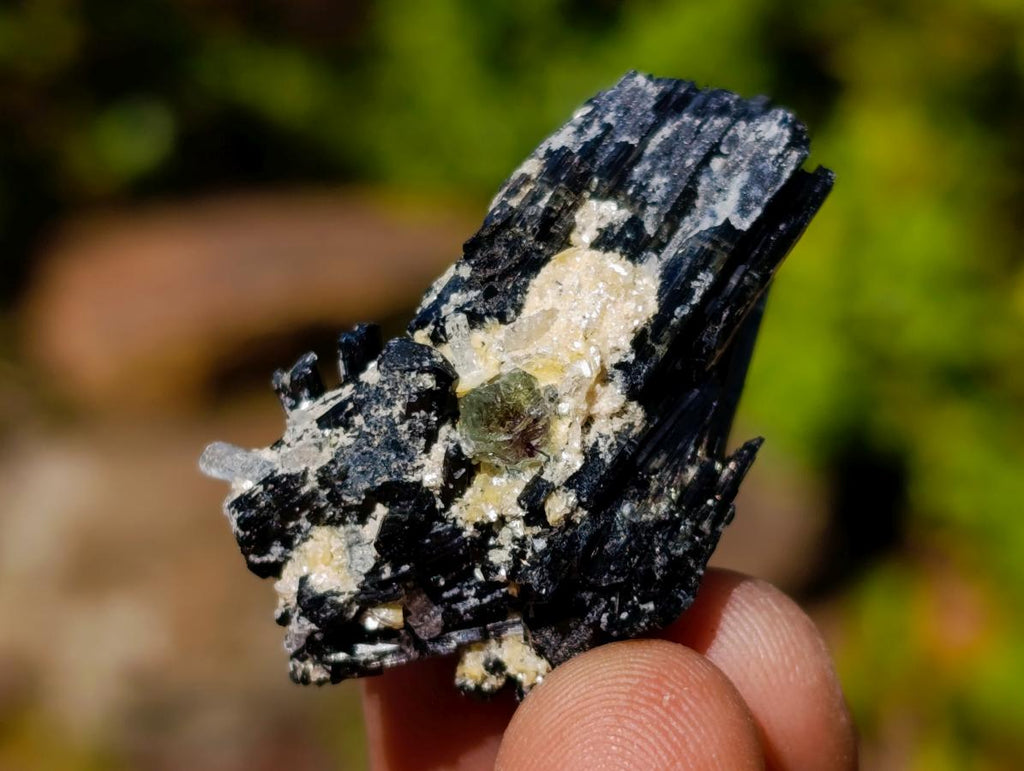 Natural Schorl Black Tourmaline Specimens with Associated Minerals x 24 From Erongo, Namibia