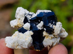 Natural Schorl Black Tourmaline Specimens with Associated Minerals x 24 From Erongo, Namibia