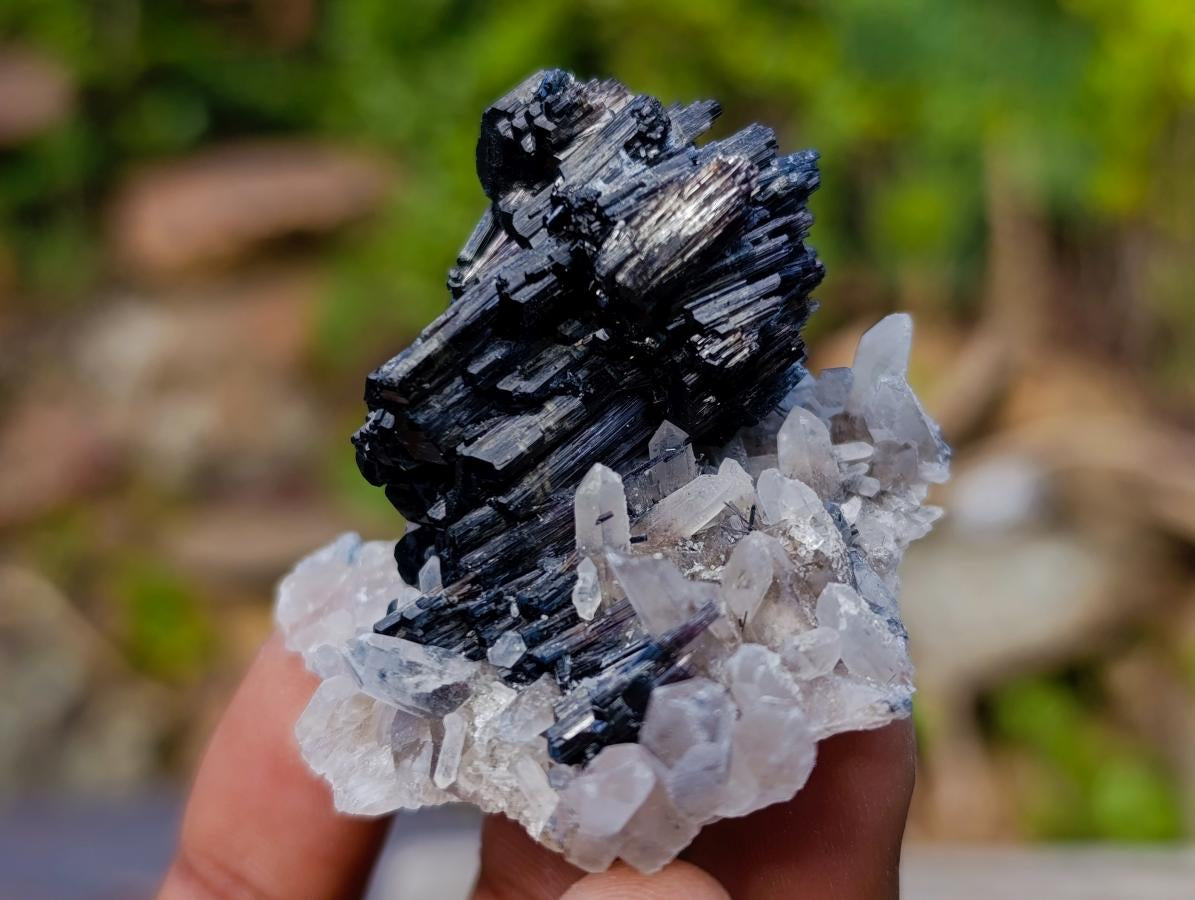 Natural Schorl Black Tourmaline Specimens with Associated Minerals x 24 From Erongo, Namibia