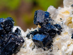 Natural Schorl Black Tourmaline Specimens with Associated Minerals x 24 From Erongo, Namibia