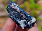 Natural Schorl Black Tourmaline Specimens with Associated Minerals x 24 From Erongo, Namibia