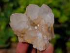 Natural Cascading "Anananas" Candle Quartz Clusters x 24 From Antsirabe, Madagascar