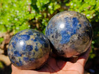 Polished Blue Iolite "Water Sapphire" Spheres x 2 From Madagascar