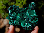 Natural Silky Malachite Specimens x 6 From Kasompe, Congo