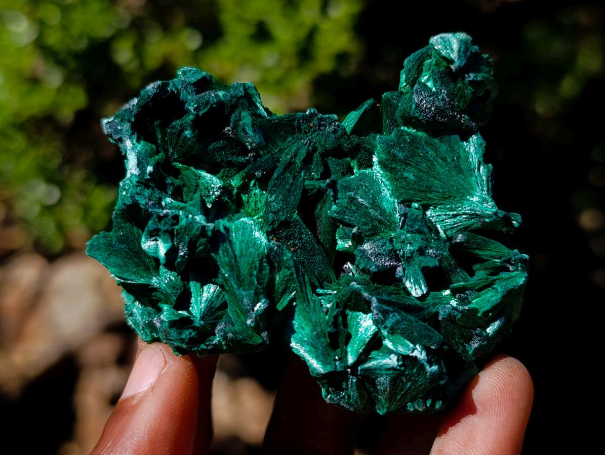Natural Silky Malachite Specimens x 6 From Kasompe, Congo