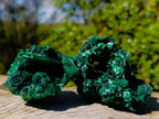 Natural Silky Malachite Specimens x 6 From Kasompe, Congo