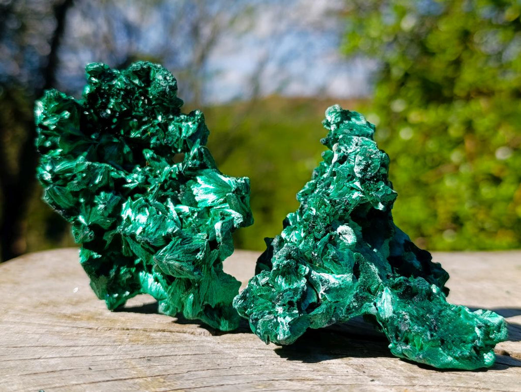 Natural Silky Malachite Specimens x 6 From Kasompe, Congo