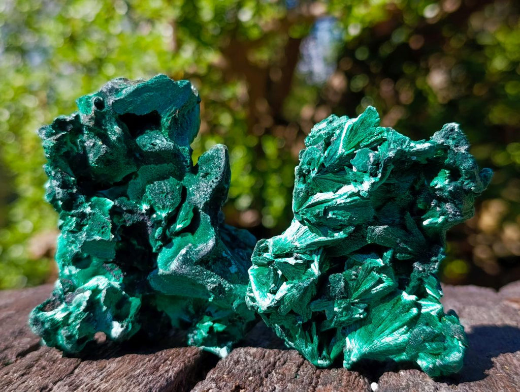 Natural Silky Malachite Specimens x 6 From Kasompe, Congo