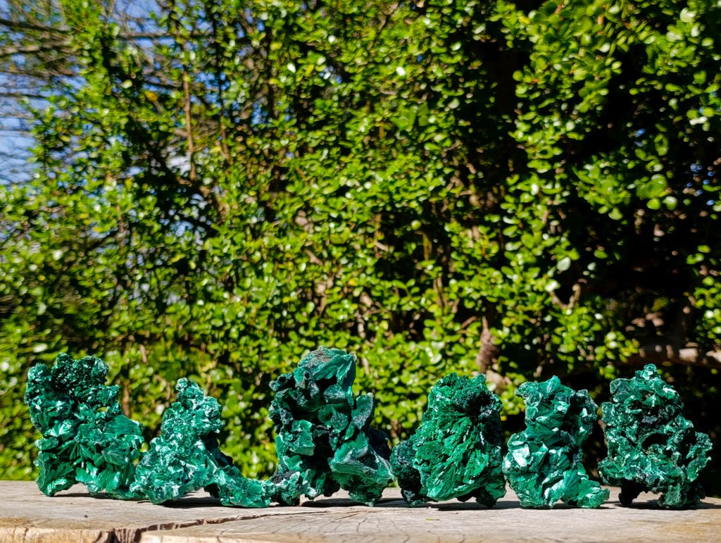 Natural Silky Malachite Specimens x 6 From Kasompe, Congo