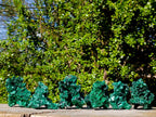 Natural Silky Malachite Specimens x 6 From Kasompe, Congo
