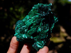 Natural Silky Malachite Specimens x 6 From Kasompe, Congo
