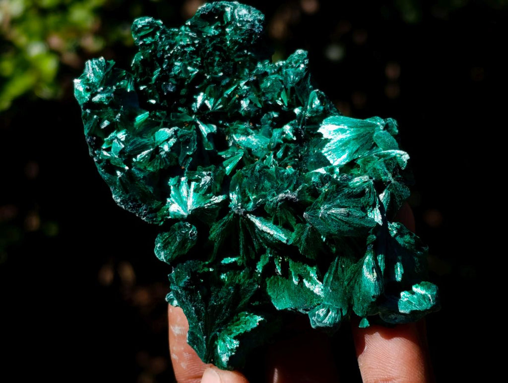 Natural Silky Malachite Specimens x 6 From Kasompe, Congo