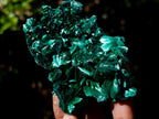 Natural Silky Malachite Specimens x 6 From Kasompe, Congo
