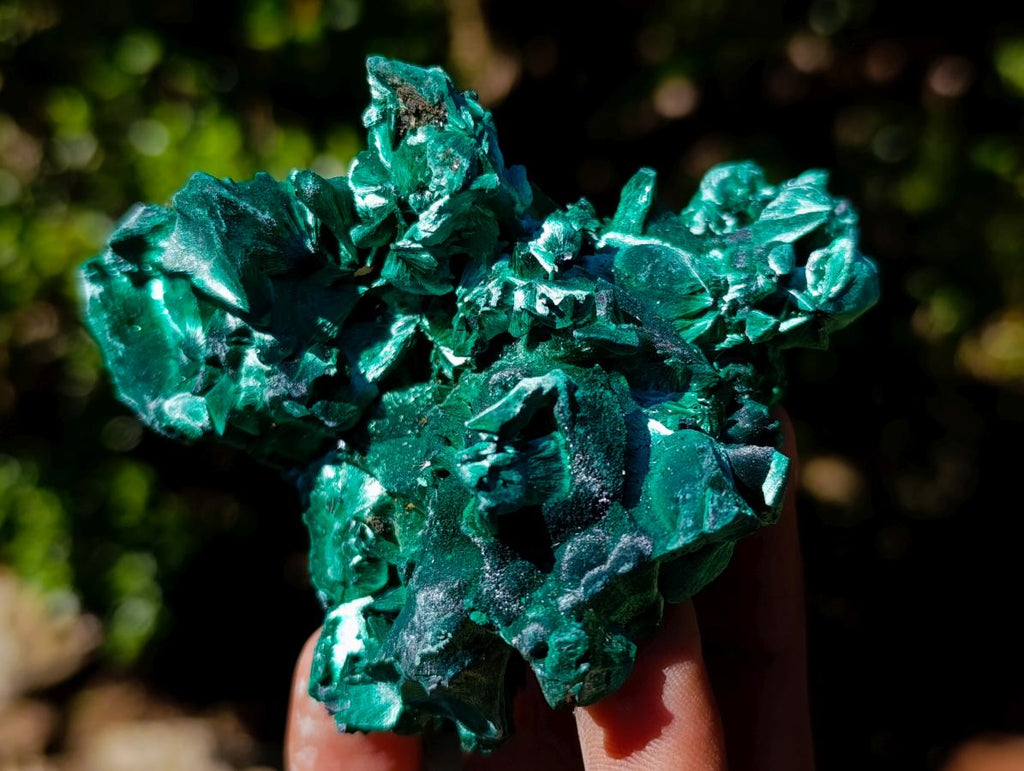 Natural Silky Malachite Specimens x 6 From Kasompe, Congo