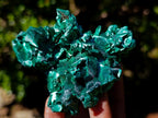 Natural Silky Malachite Specimens x 6 From Kasompe, Congo