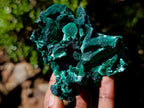Natural Silky Malachite Specimens x 6 From Kasompe, Congo