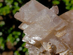 Natural Large Stacked Rhombohedral Calcite Clusters with Phosphorus Aragonite x 2 From Albert's Mountain, Lesotho