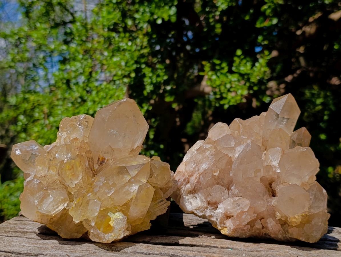 Natural Clear Smokey Pale Citrine Quartz Clusters x 2 From Luena, Congo