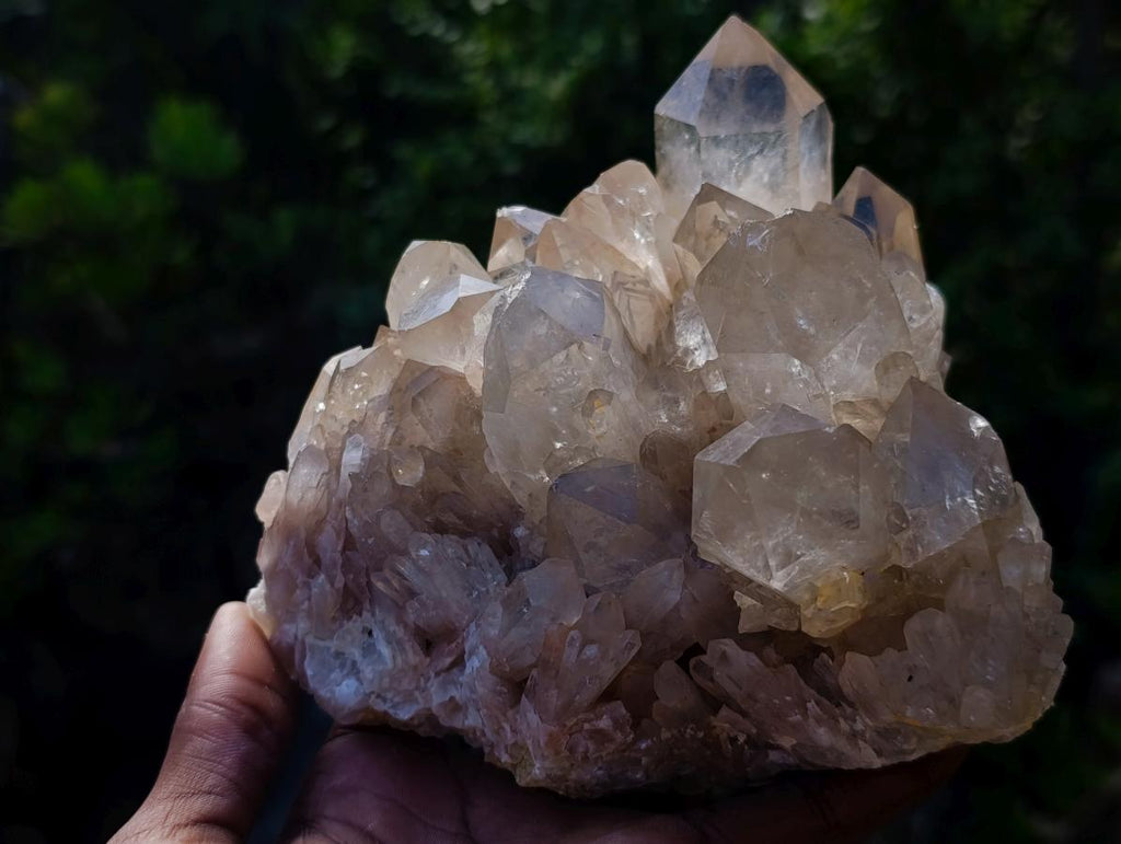 Natural Clear Smokey Pale Citrine Quartz Clusters x 2 From Luena, Congo